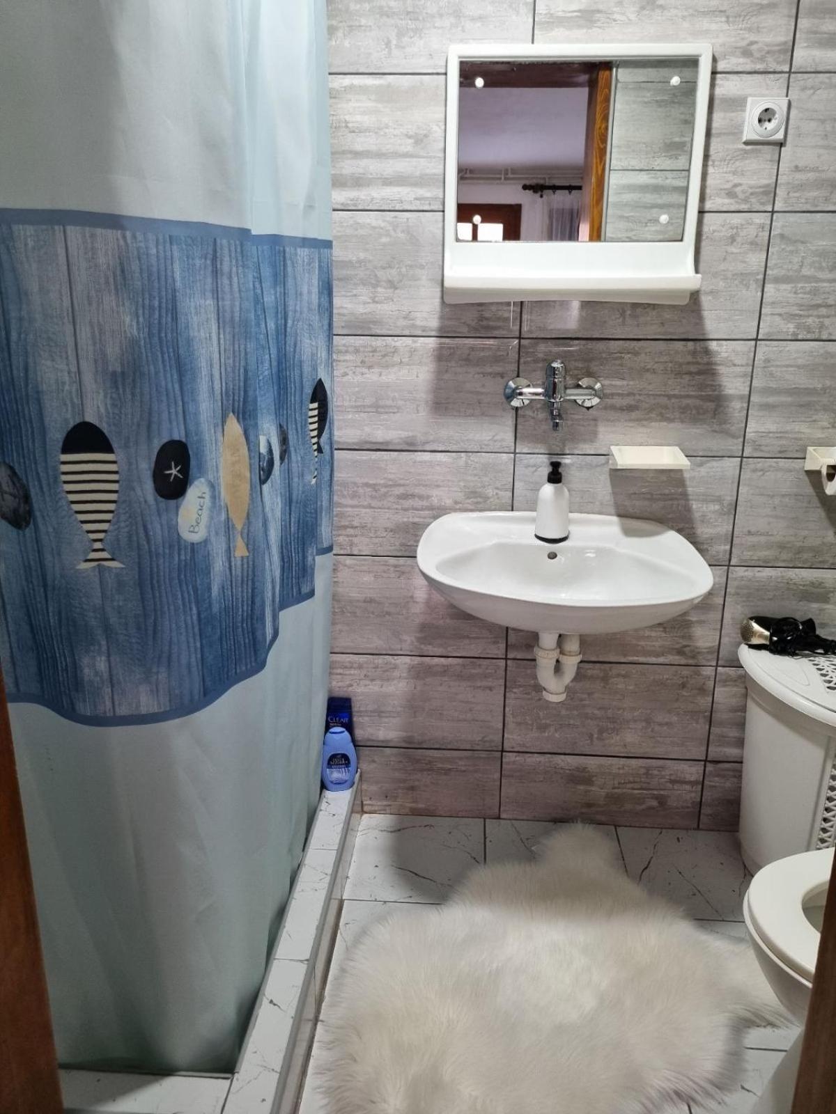 Family Apartmani Le Leskovac  Rom bilde